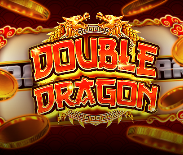 Double Dragon classic